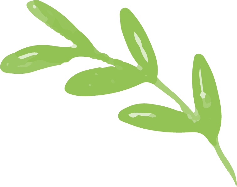 Leaves